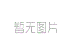 智能建造技术导则（试行）